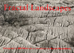 Fractal Landscapes from the Real World
