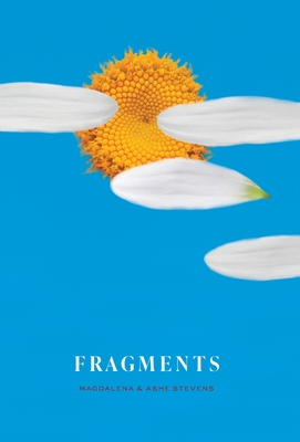 Fragments - Stevens, Magdalena, and Stevens, Ashe