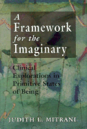 Framework for the Imaginary