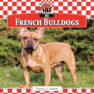 French Bulldogs