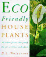 Friendly Houseplants