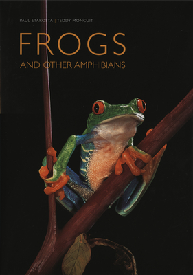 Frogs: And Other Amphibians - Starosta, Paul (Photographer)