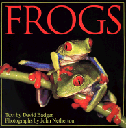 Frogs