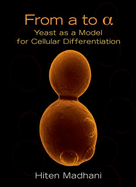 From A to Alpha: Yeast as a Model for Cellular Differentiation