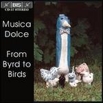 From Byrd to Birds