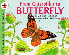 From Caterpillar to Butterfly