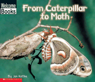 From Caterpillar to Moth