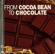 From Cocoa Bean to Chocolate