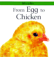 From Egg to Chicken