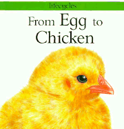 From Egg to Chicken