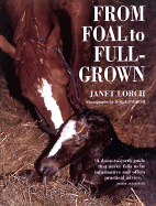 From Foal to Full-Grown