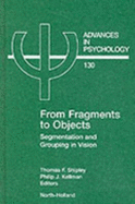 From Fragments to Objects: Segmentation and Grouping in Vision Volume 130