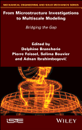 From Microstructure Investigations to Multiscale Modeling: Bridging the Gap