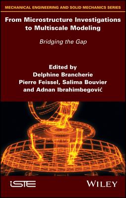 From Microstructure Investigations to Multiscale Modeling: Bridging the Gap - Brancherie, Delphine (Editor), and Feissel, Pierre (Editor), and Bouvier, Salima (Editor)