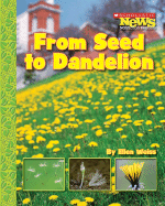 From Seed to Dandelion