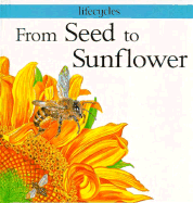 From seed to sunflower