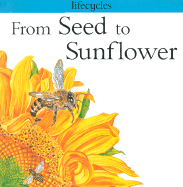 From Seed to Sunflower