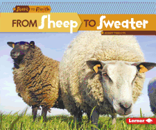 From Sheep to Sweater