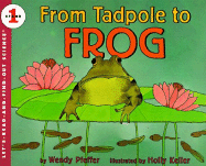 From Tadpole to Frog