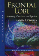 Frontal Lobe: Anatomy, Functions & Injuries