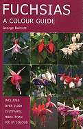 Fuchsias: A Colour Guide