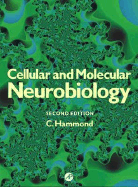 Functional Neurobiology of Aging