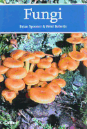 Fungi