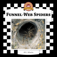Funnel-Web Spiders