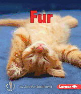 Fur