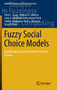 Fuzzy Social Choice Models: Explaining the Government Formation Process
