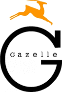 Game Theory and Applicationsv. 3