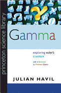 Gamma: Exploring Euler's Constant
