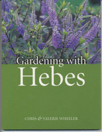 Gardening with Hebes
