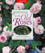 Gardening with Old Roses