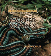 Garter Snakes