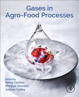 Gases in Agro-food Processes - Cachon, Remy (Editor), and Girardon, Philippe (Editor), and Voilley, Andree (Editor)