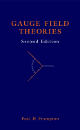 Gauge Field Theories