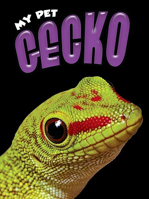 Gecko - Craats, Rennay