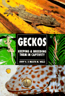 Geckos: Keeping & Breeding Them in Captivity