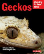 Geckos