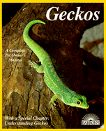 Geckos