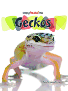 Geckos