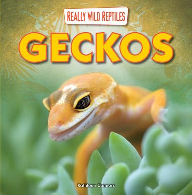 Geckos - Connors, Kathleen