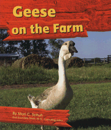 Geese on the Farm