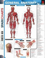 General Anatomy SparkCharts