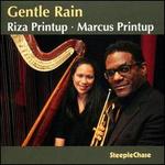 Gentle Rain
