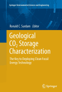 Geological Co2 Storage Characterization: The Key to Deploying Clean Fossil Energy Technology