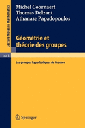 Geometrie Et Theorie Des Groupes: Les Groupes Hyperboliques de Gromov