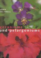 GERANIUMS & PELARGONIUMS