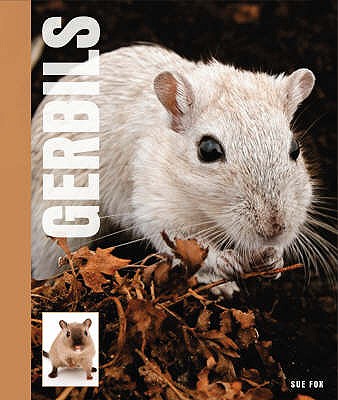 Gerbils - Fox, Sue